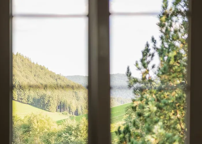 Vista Todtnauberg 2
